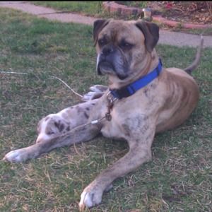 Meet your Posher, Christina